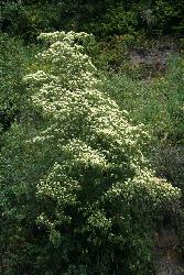 Image: Trevor James © Trevor James 